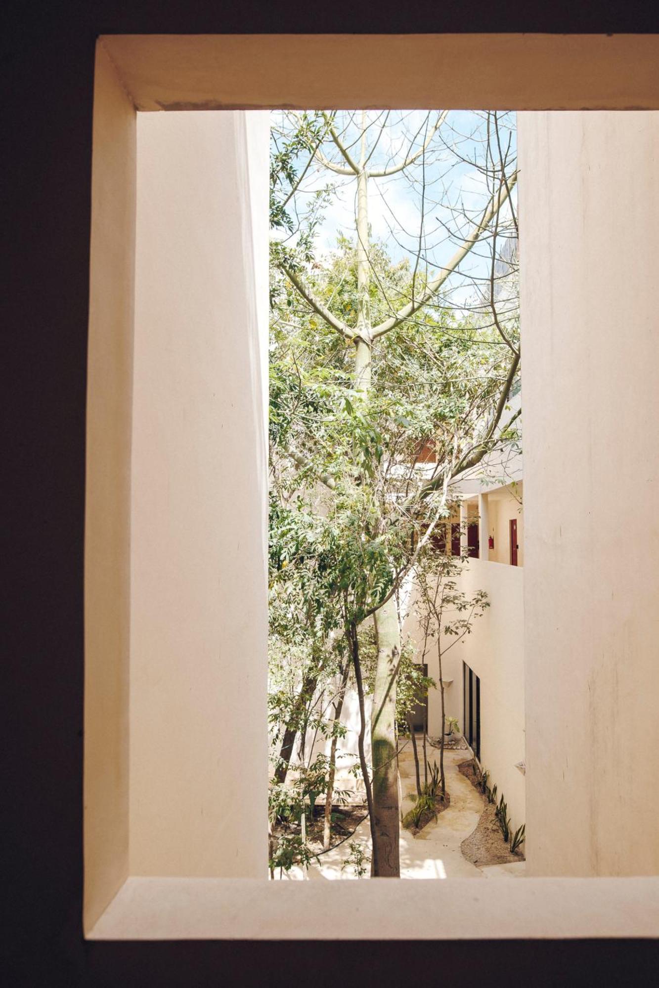 2 Bikes Free Exlusive Building Close To The Sea Tulum Exterior photo