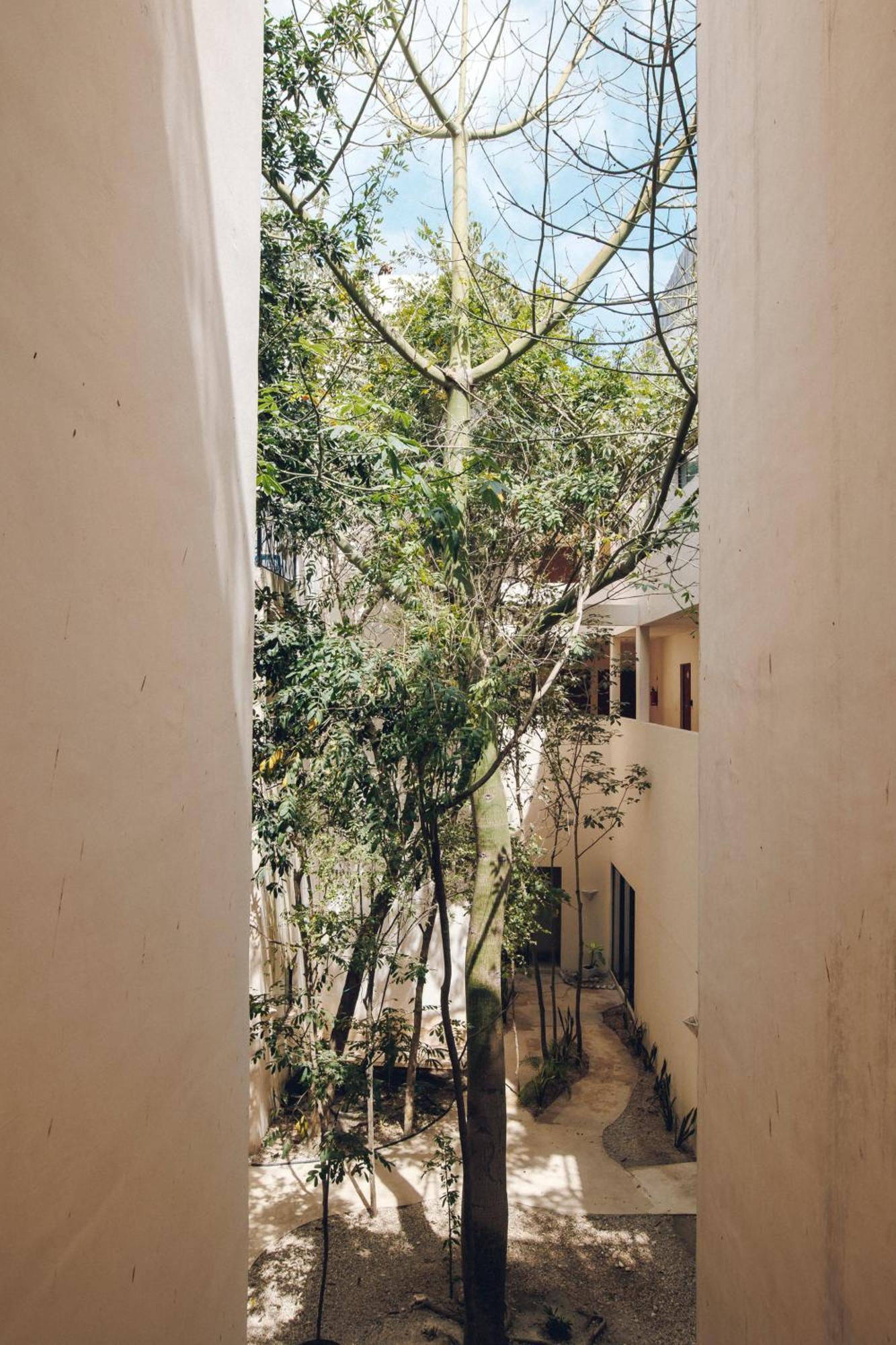 2 Bikes Free Exlusive Building Close To The Sea Tulum Exterior photo