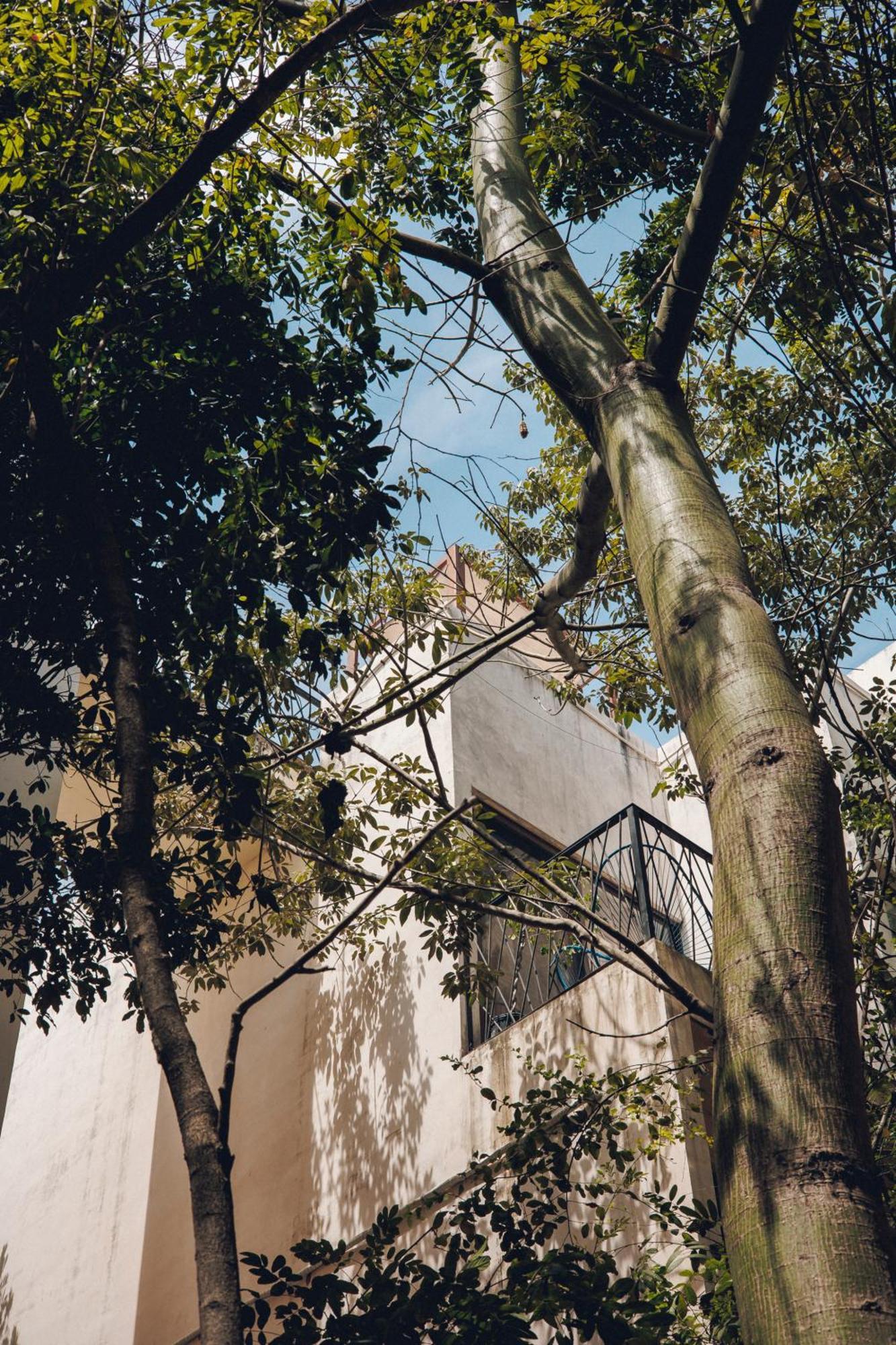 2 Bikes Free Exlusive Building Close To The Sea Tulum Exterior photo